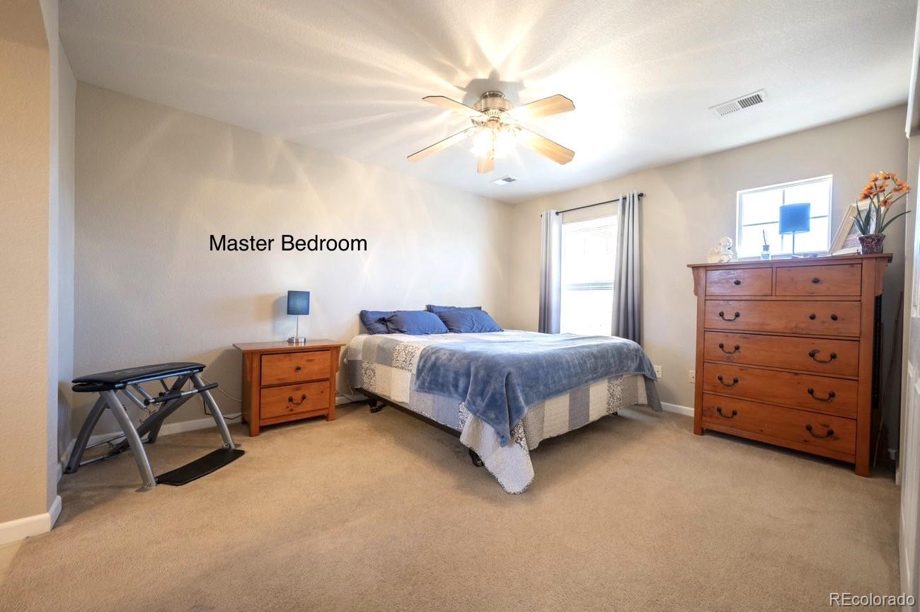 3766 Ute Mountain Trail Castle Rock CO 80109