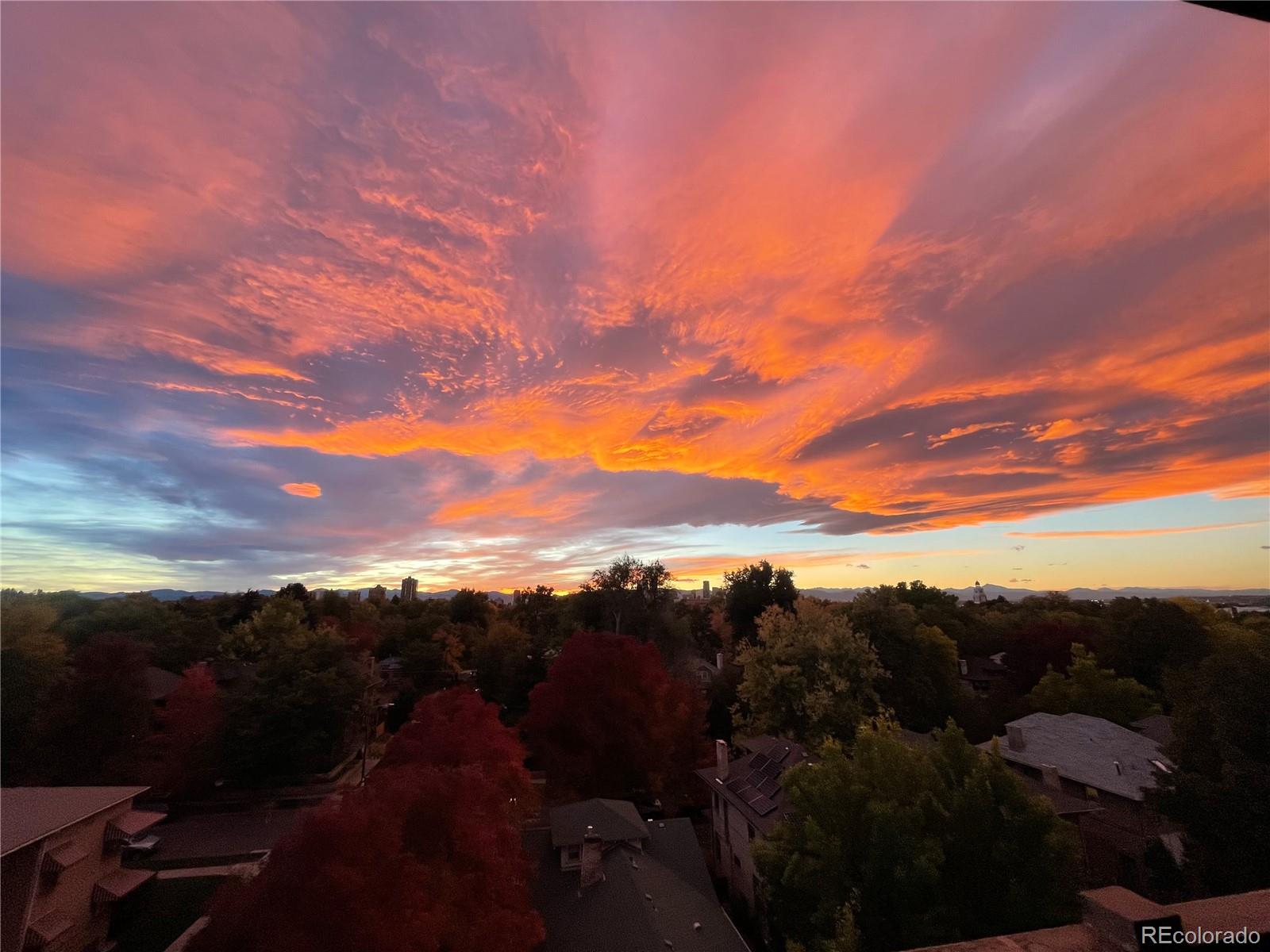 1313 Steele Street Denver CO 80206