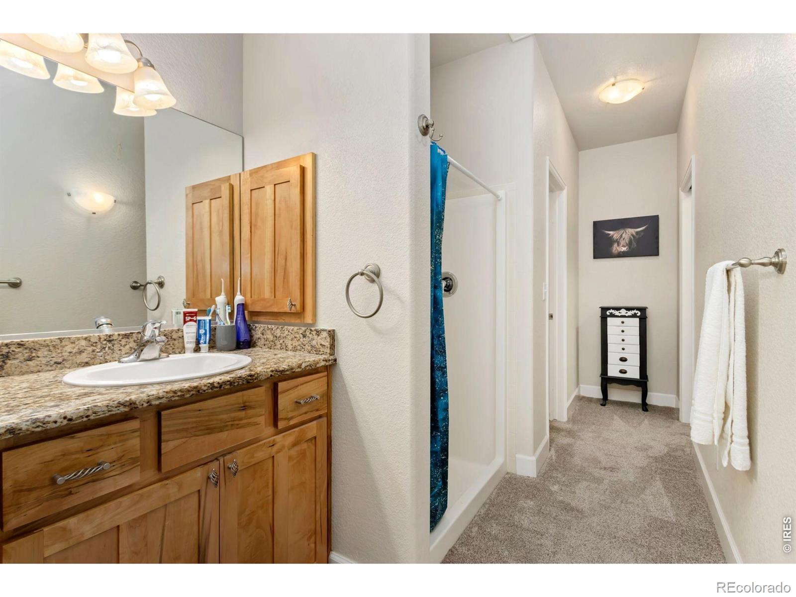 4101 Crittenton Lane Wellington CO 80549