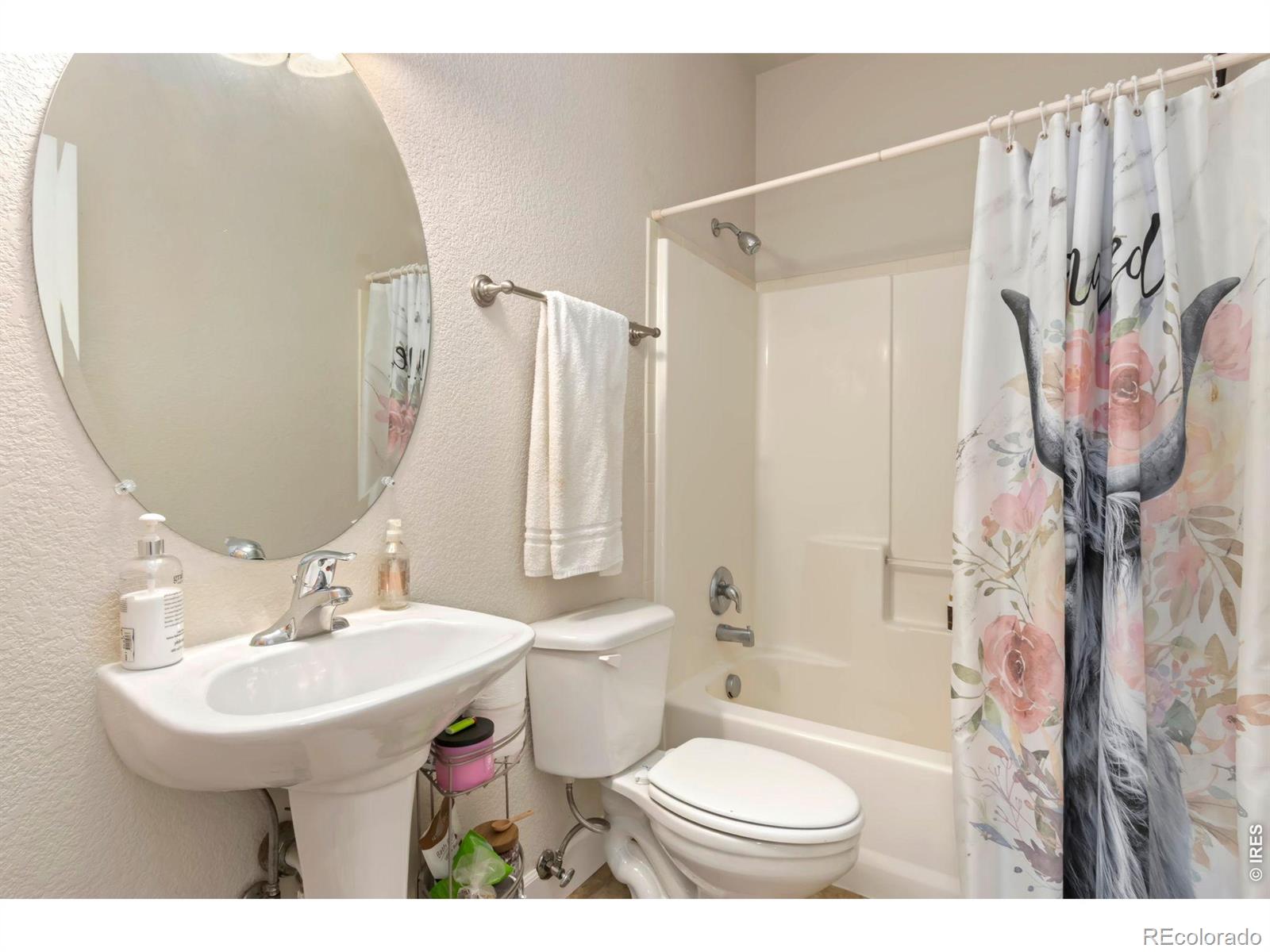 4101 Crittenton Lane Wellington CO 80549