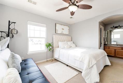 3887 Ute Mountain Trail Castle Rock CO 80109