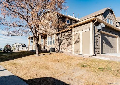 3887 Ute Mountain Trail Castle Rock CO 80109