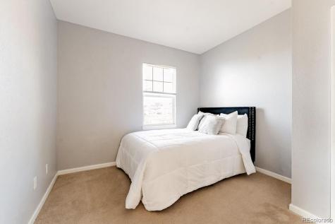 3887 Ute Mountain Trail Castle Rock CO 80109