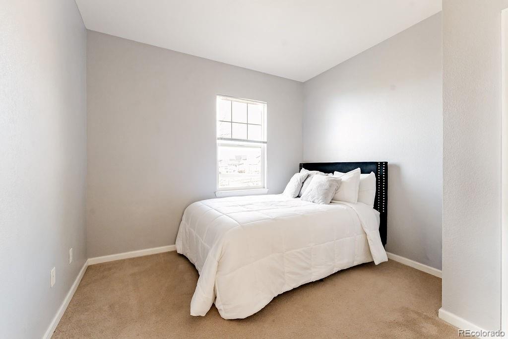 3887 Ute Mountain Trail Castle Rock CO 80109