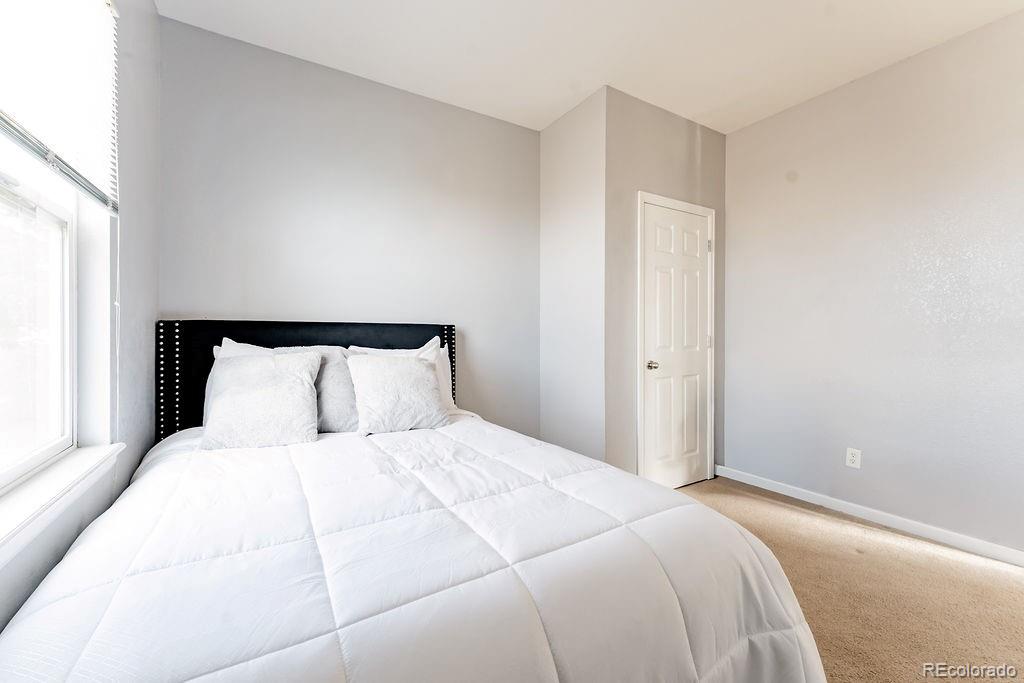 3887 Ute Mountain Trail Castle Rock CO 80109