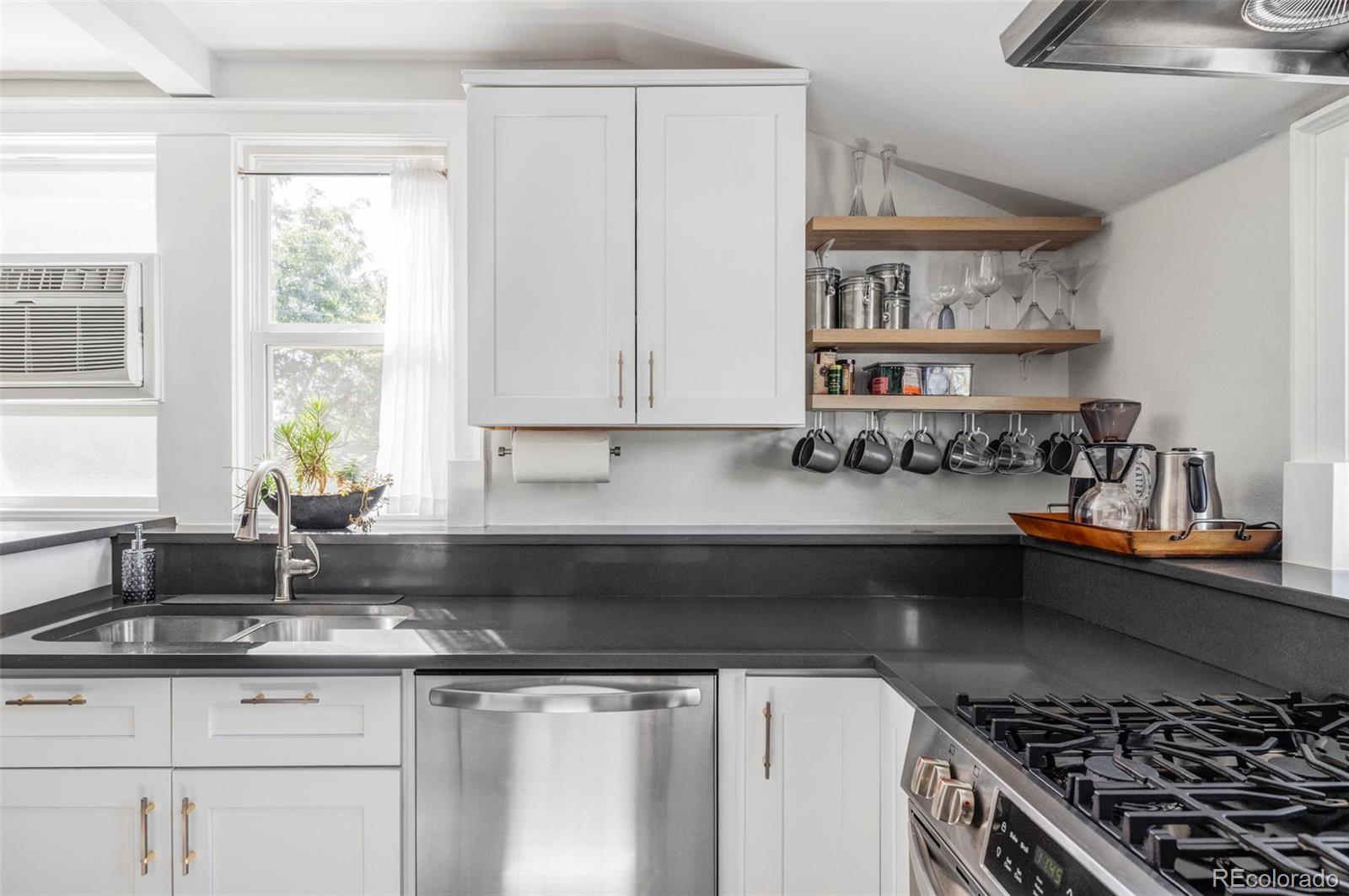 1035 E 10th Avenue Denver CO 80218