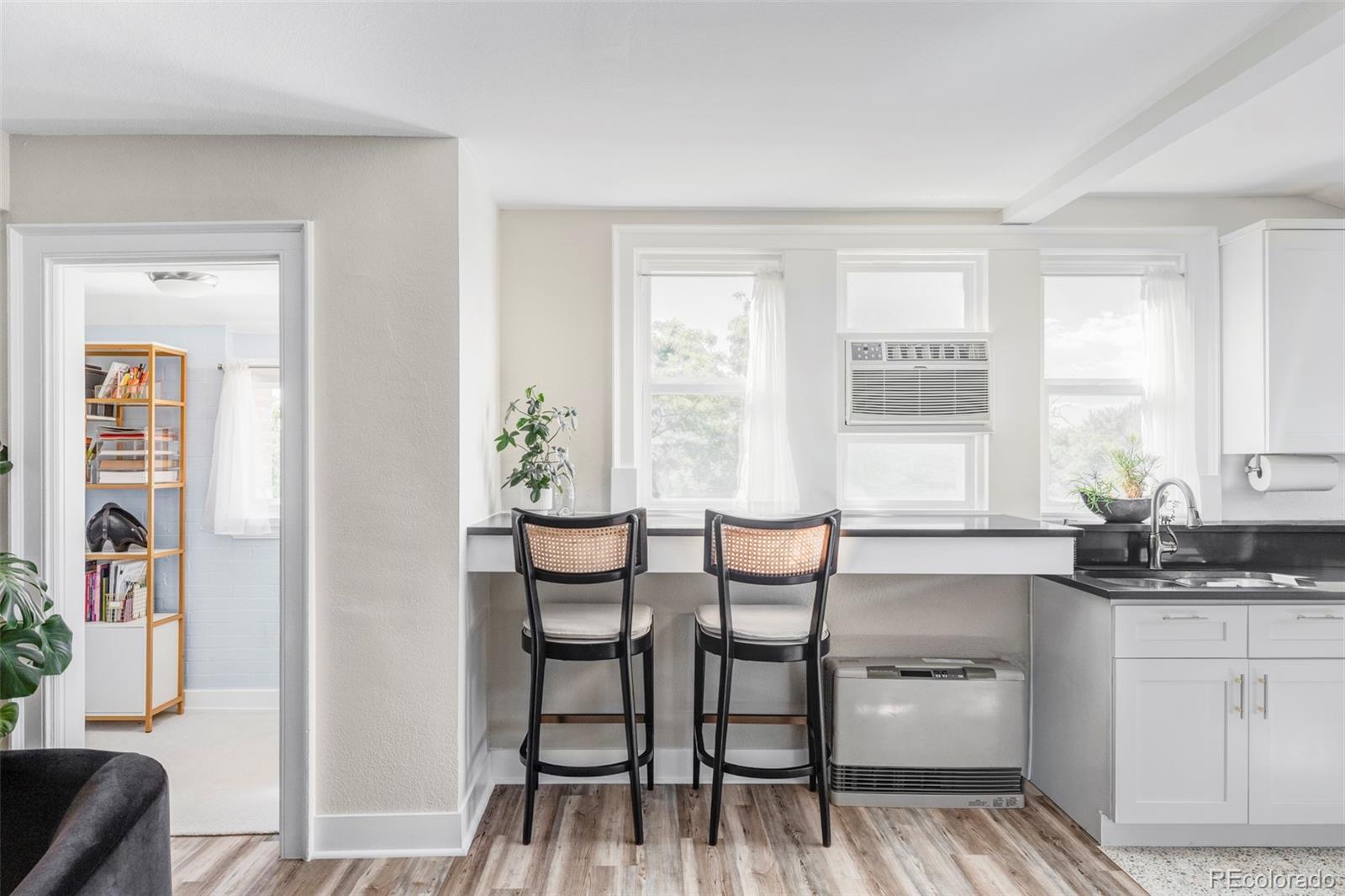 1035 E 10th Avenue Denver CO 80218