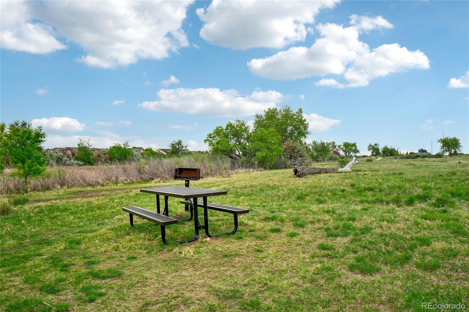 1837 Grays Peak Drive Loveland CO 80538