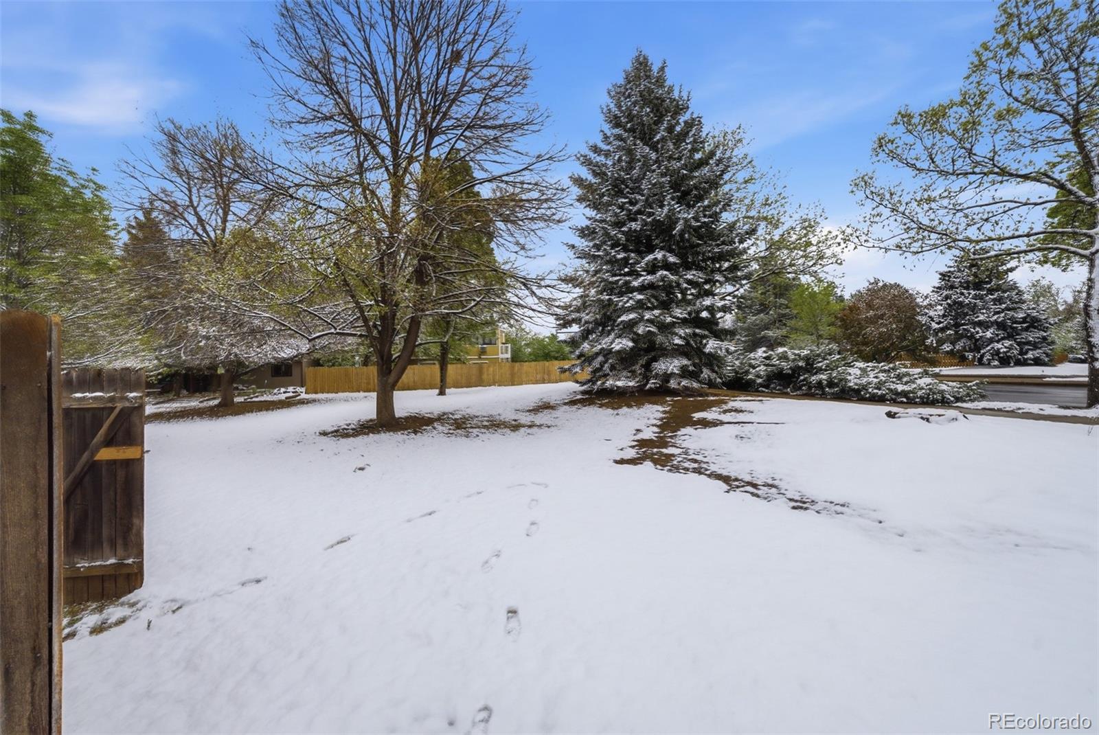 3440 Windmill Drive Fort Collins CO 80526