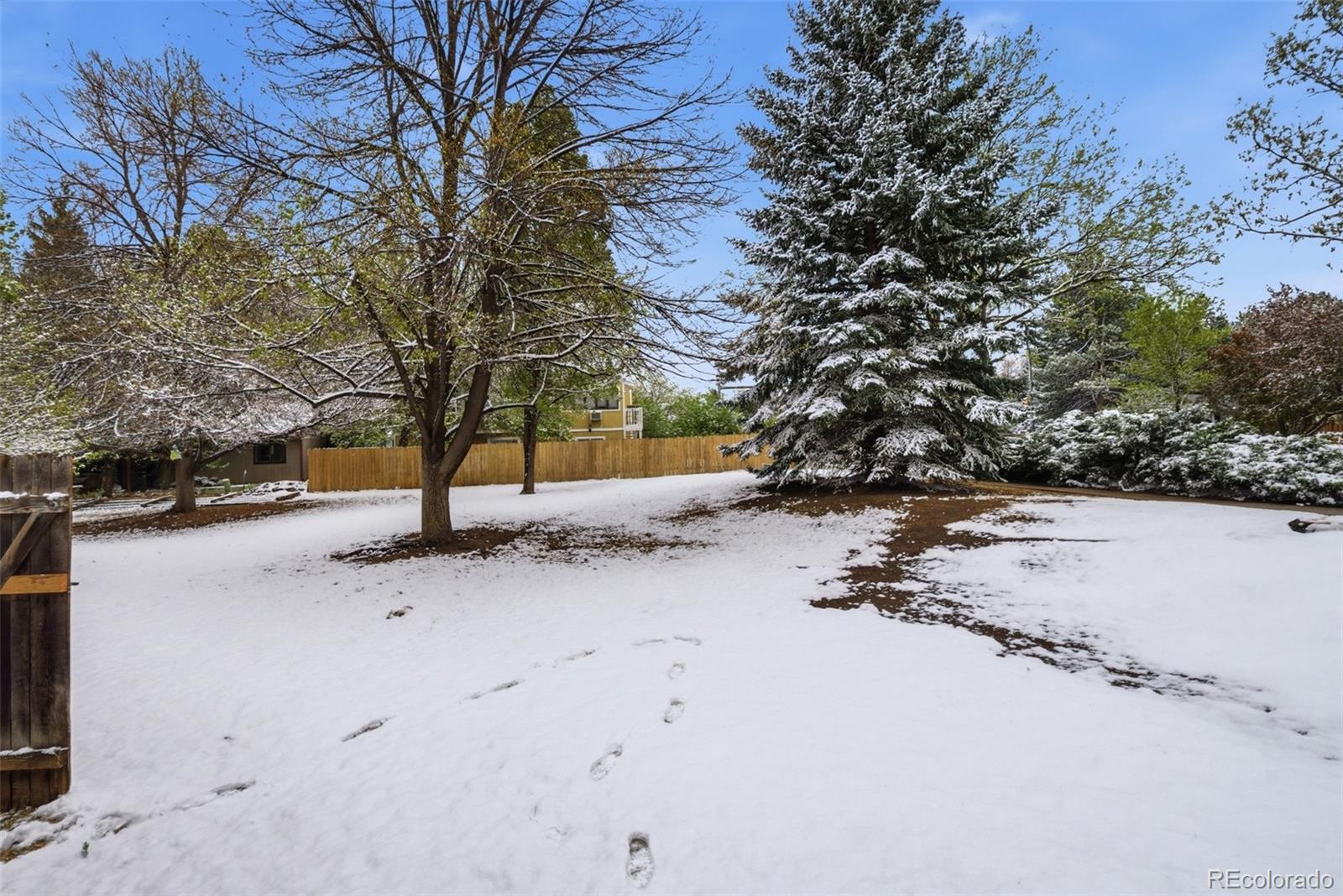 3440 Windmill Drive Fort Collins CO 80526