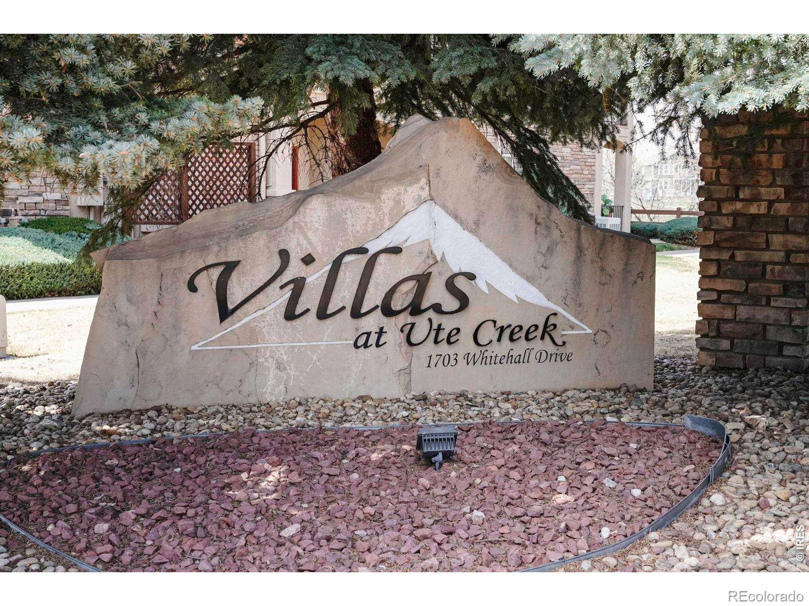 1703 Whitehall Drive Longmont CO 80504