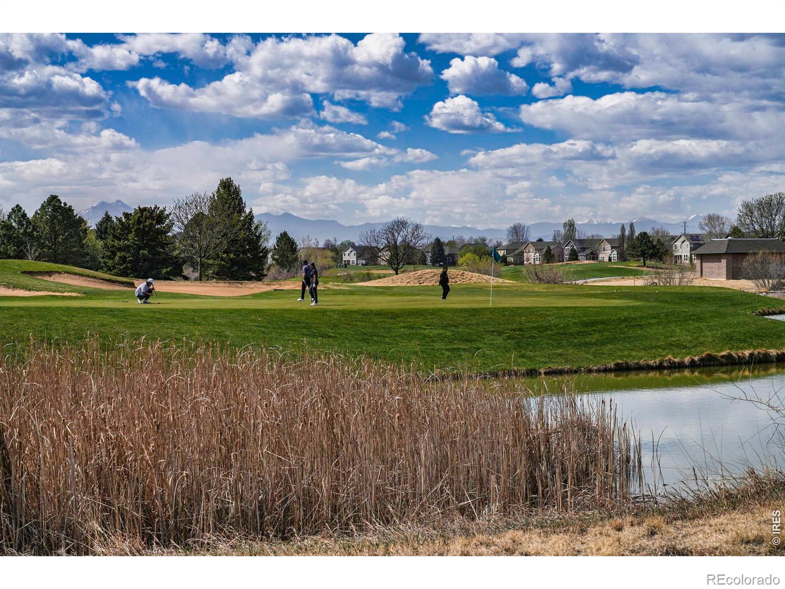 1703 Whitehall Drive Longmont CO 80504