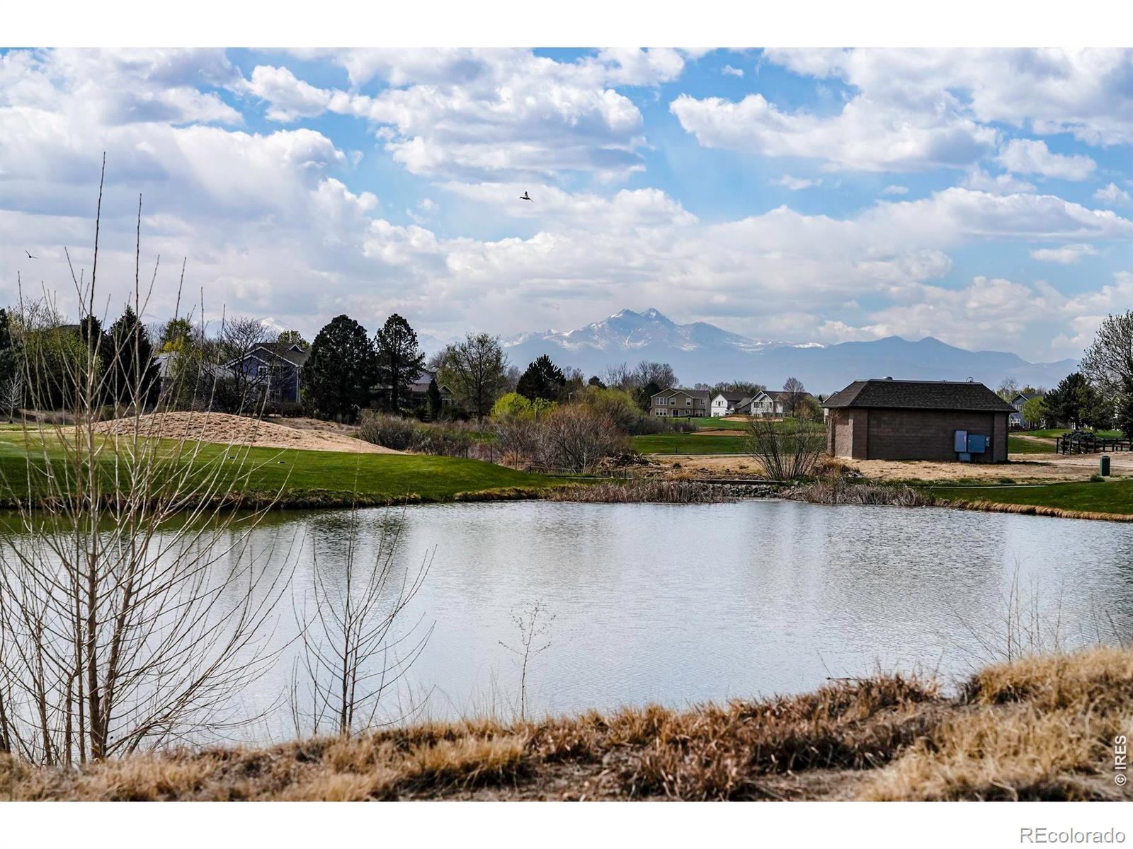 1703 Whitehall Drive Longmont CO 80504