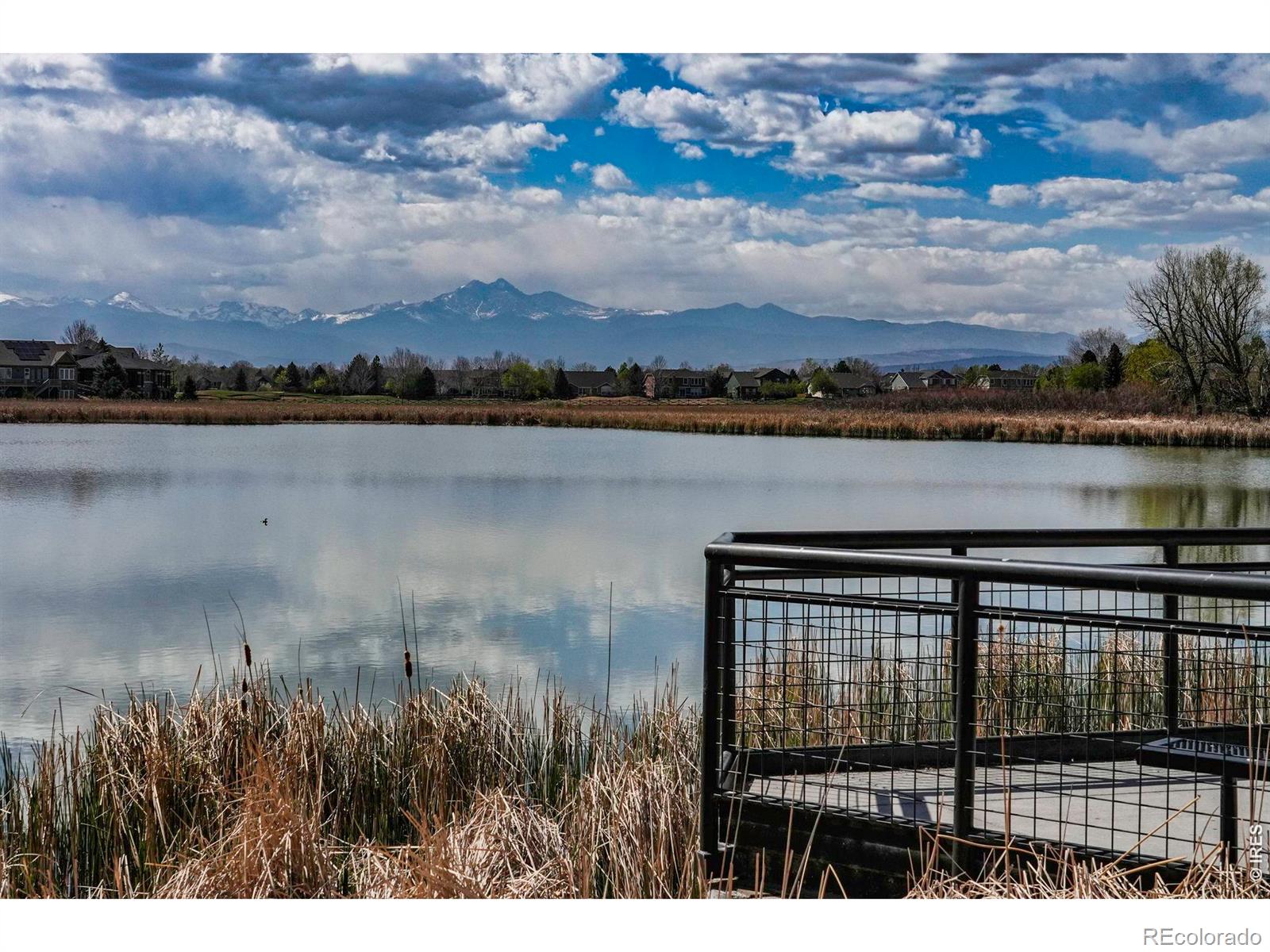 1703 Whitehall Drive Longmont CO 80504