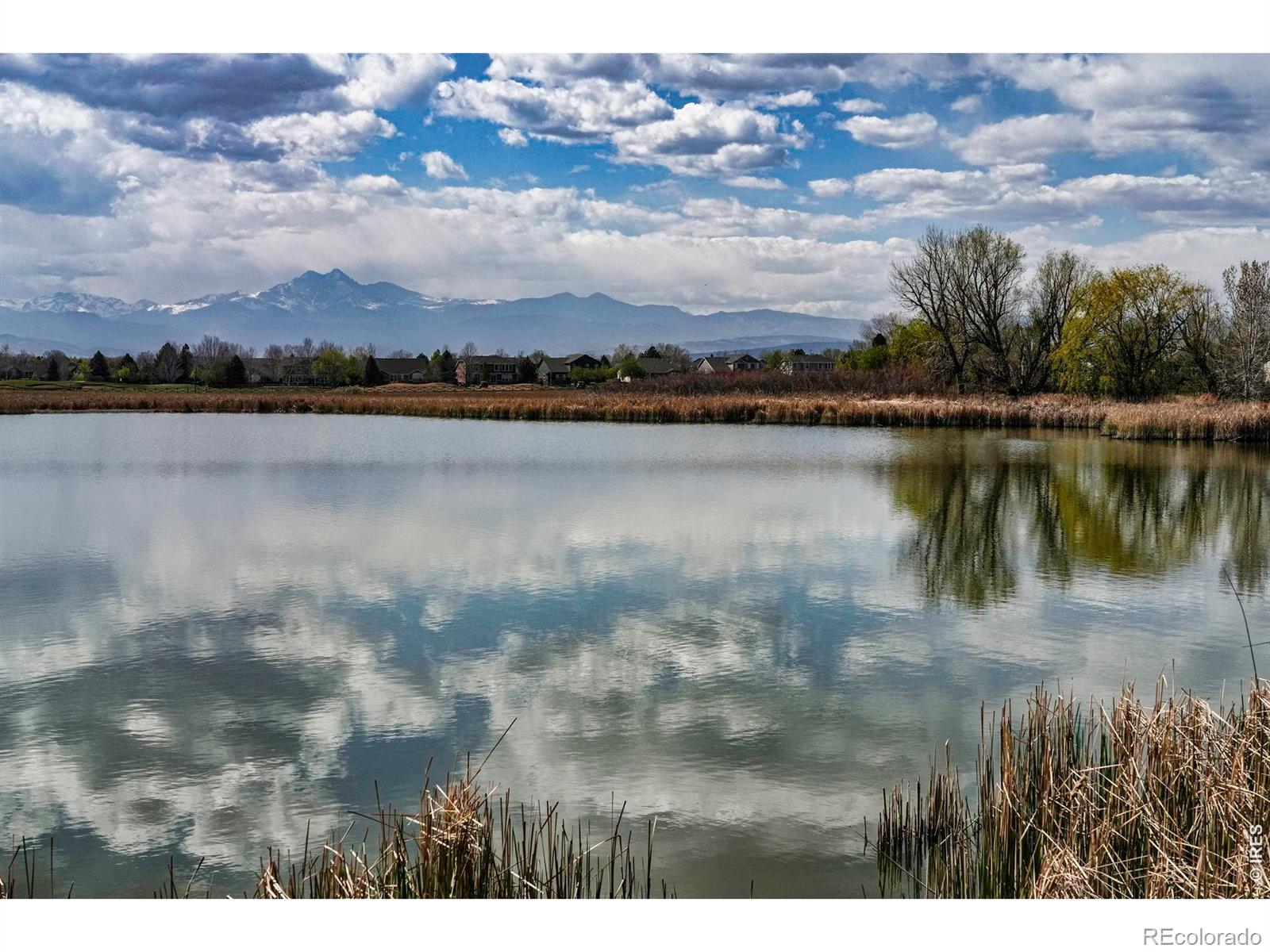1703 Whitehall Drive Longmont CO 80504