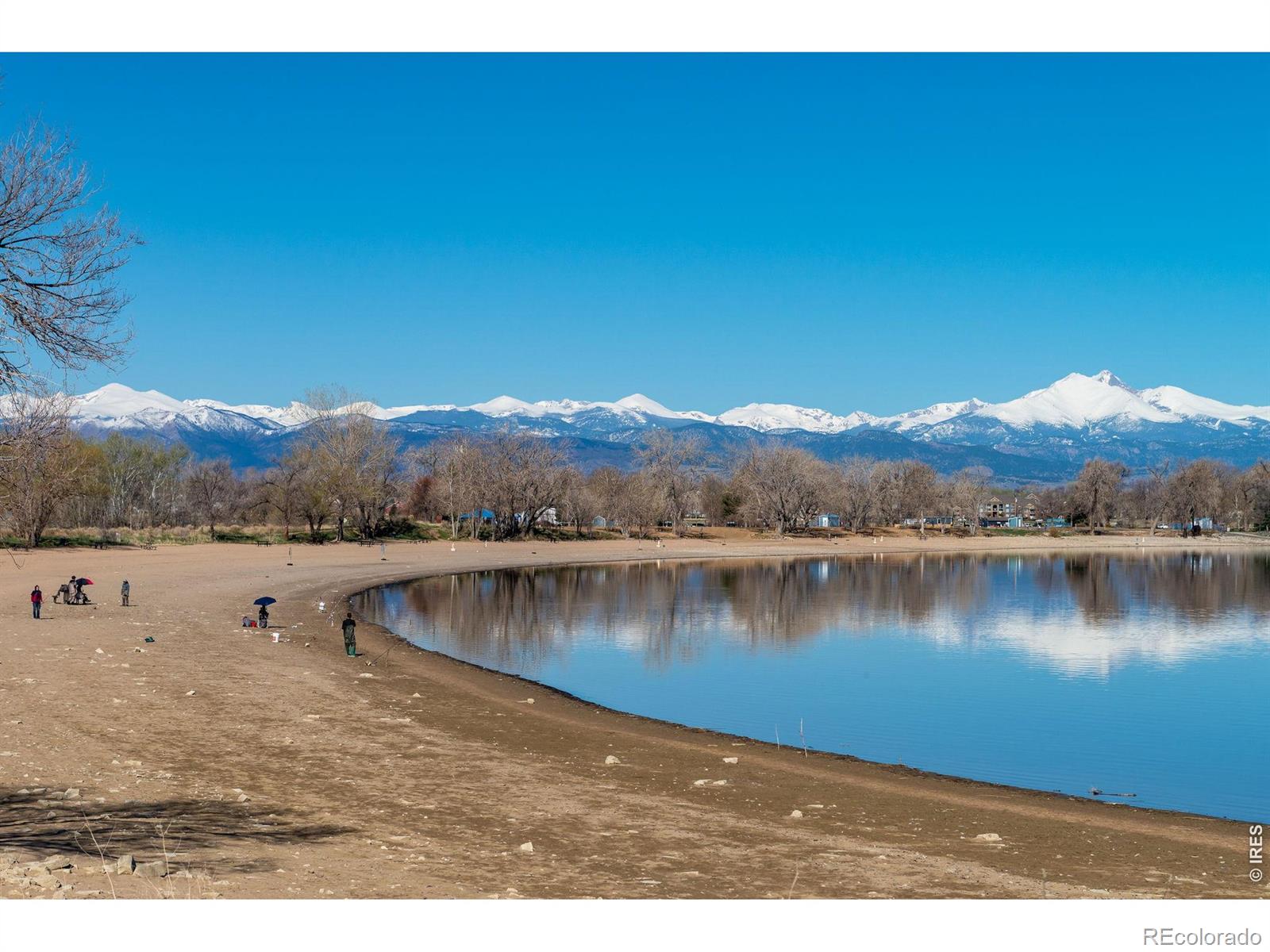 1703 Whitehall Drive Longmont CO 80504
