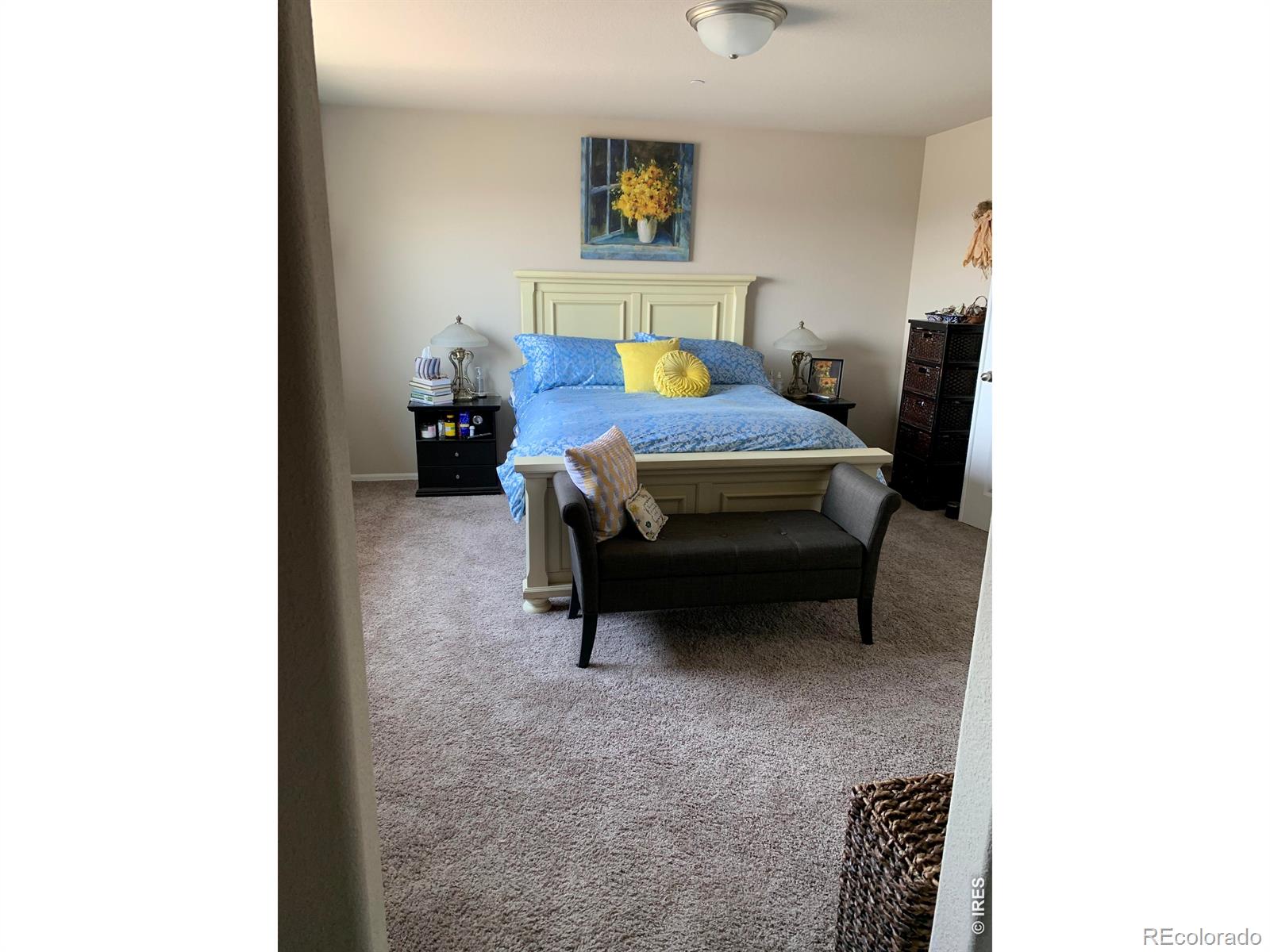 5551 29th Street Greeley CO 80634