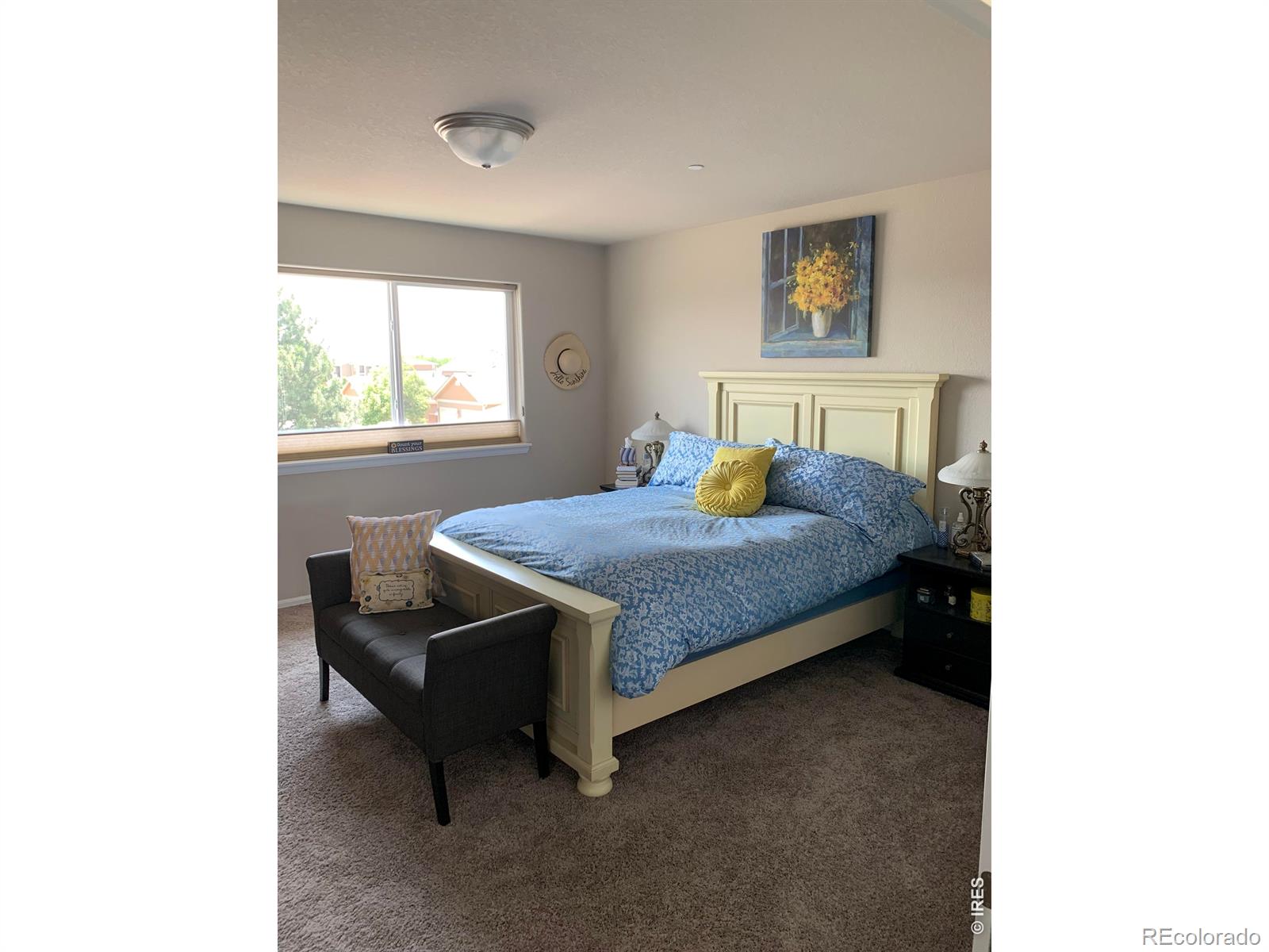 5551 29th Street Greeley CO 80634