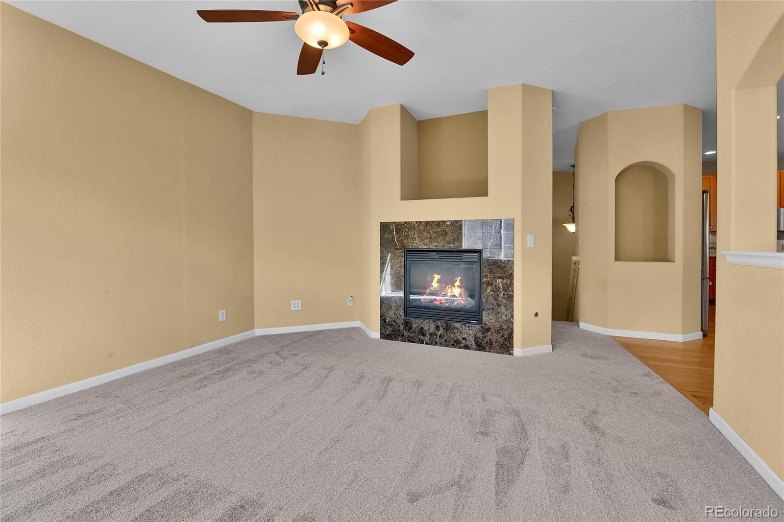 22448 E Plymouth Circle Aurora CO 80016