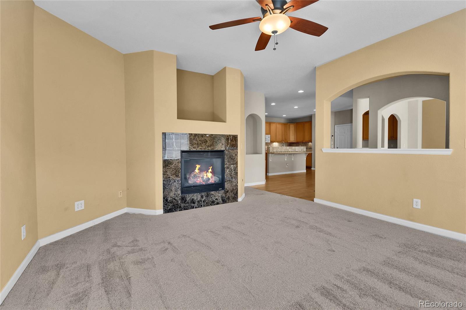 22448 E Plymouth Circle Aurora CO 80016