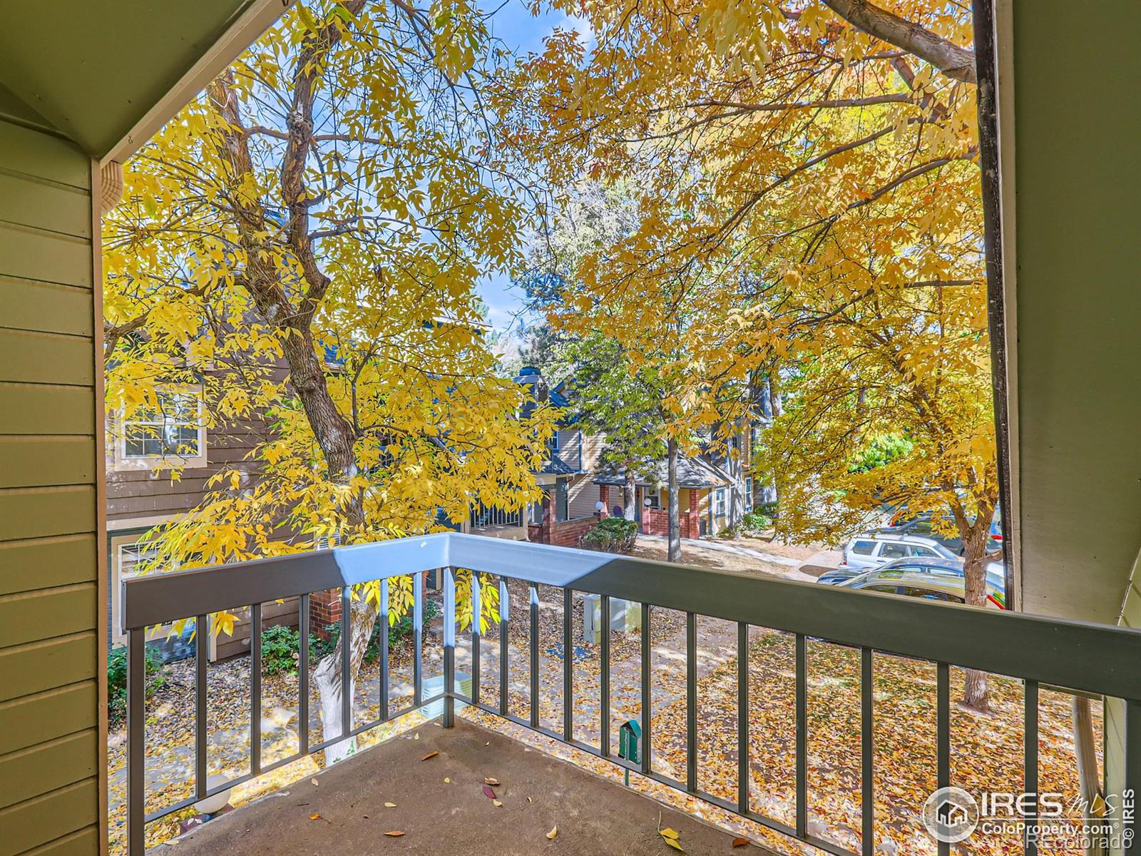 3565 Windmill Drive Fort Collins CO 80526