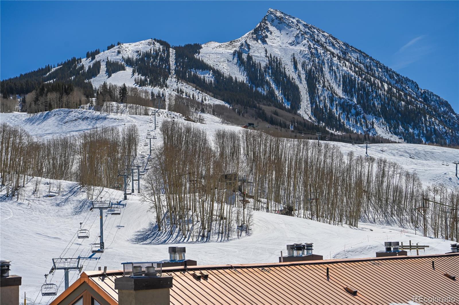 500 Gothic Road Mt Crested Butte CO 81225
