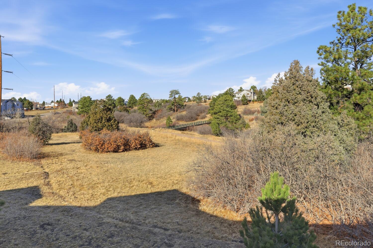 771 Bishop Pine Way Castle Rock CO 80104