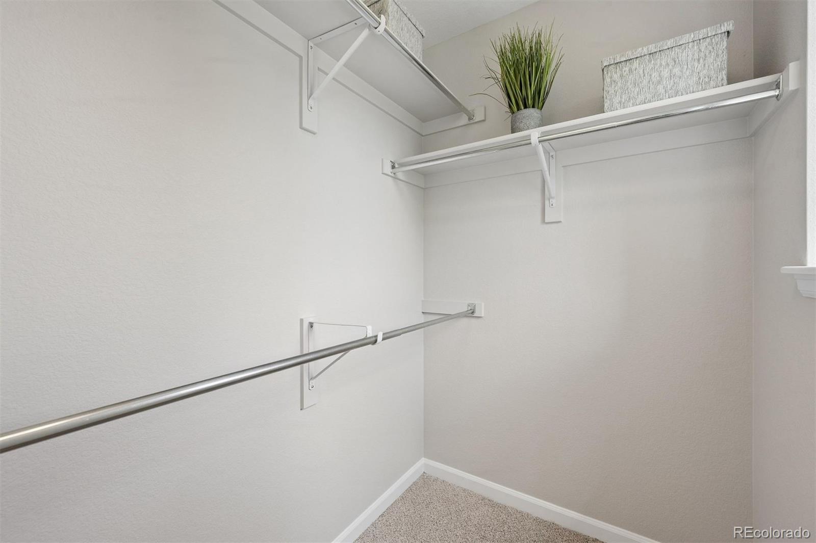2235 Valentia Street Denver CO 80238