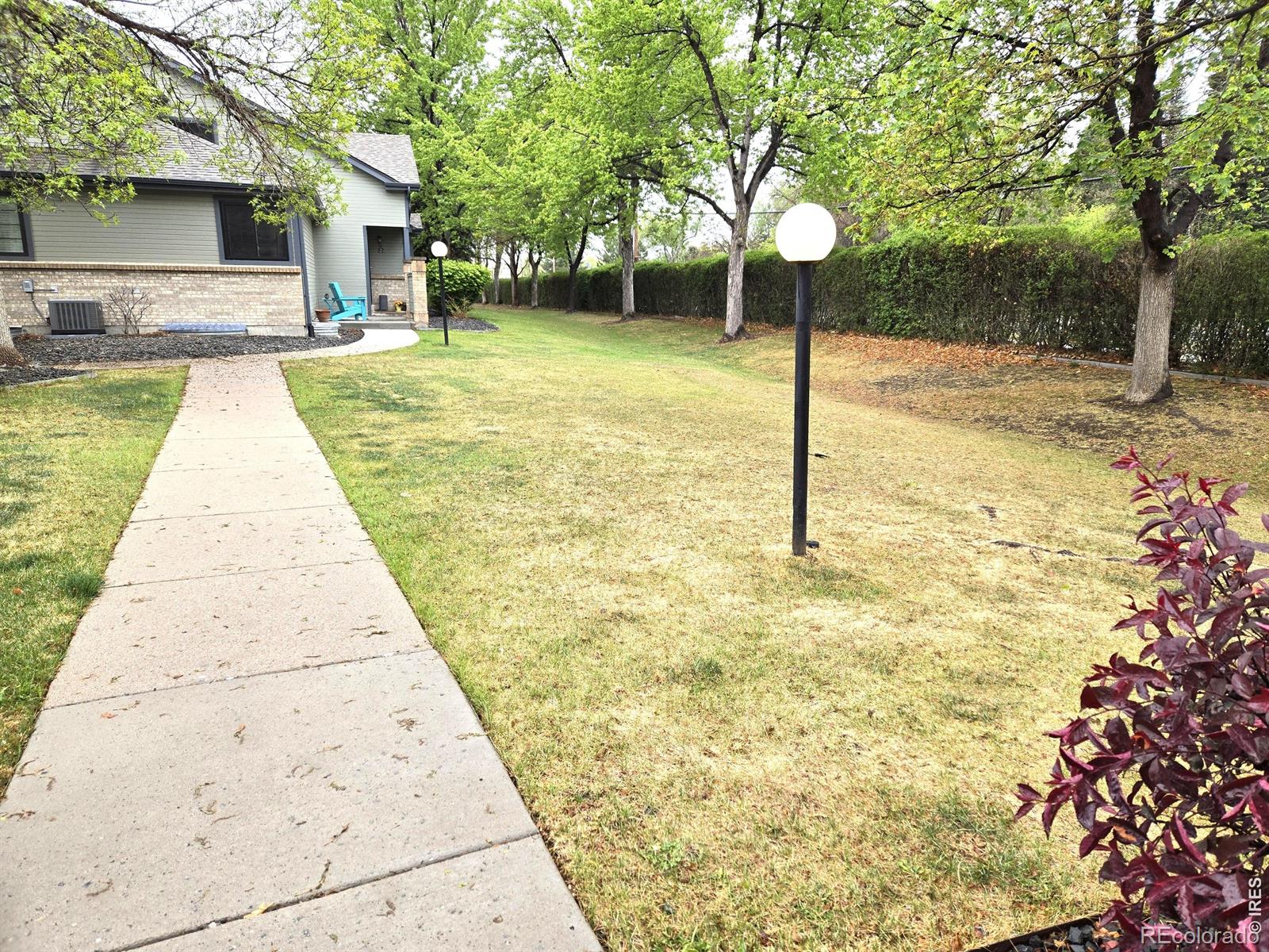 9177 W Cedar Drive Lakewood CO 80226