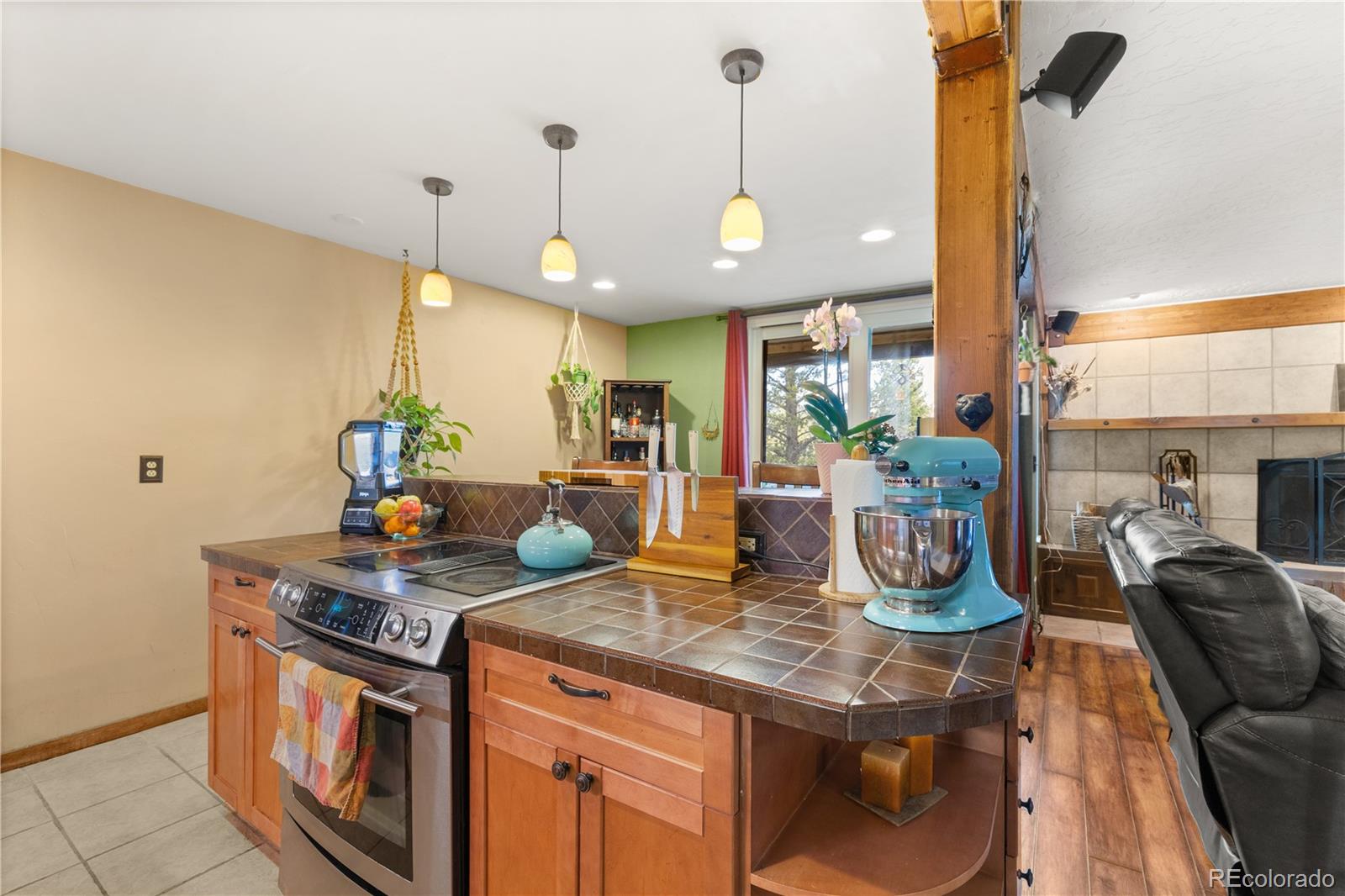 304 Ryan Gulch Court Silverthorne CO 80498