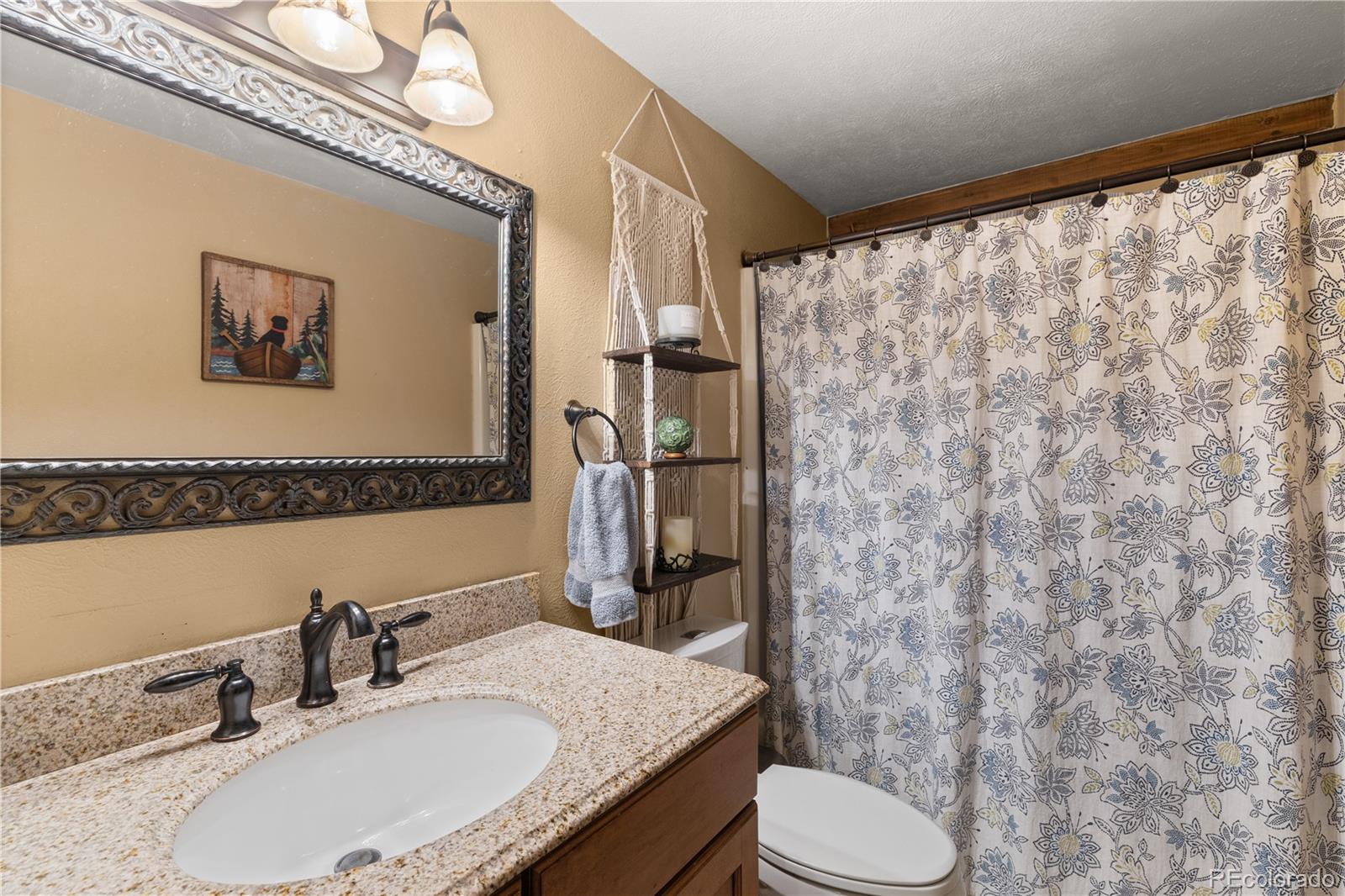 304 Ryan Gulch Court Silverthorne CO 80498