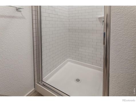 1811 Bounty Drive Windsor CO 80550