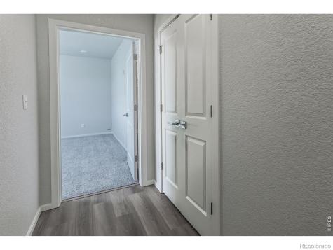 1811 Bounty Drive Windsor CO 80550