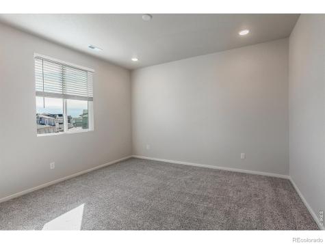 1811 Bounty Drive Windsor CO 80550
