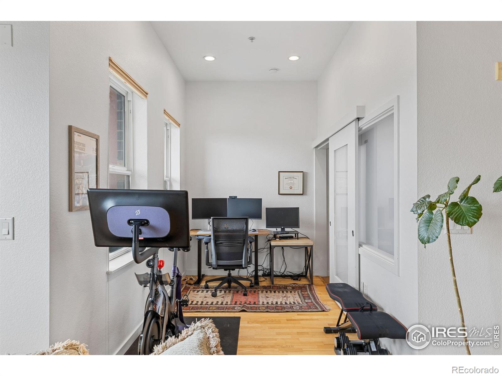 1555 Central Street Denver CO 80211