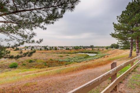 8415 Pebble Creek Way Highlands Ranch CO 80126