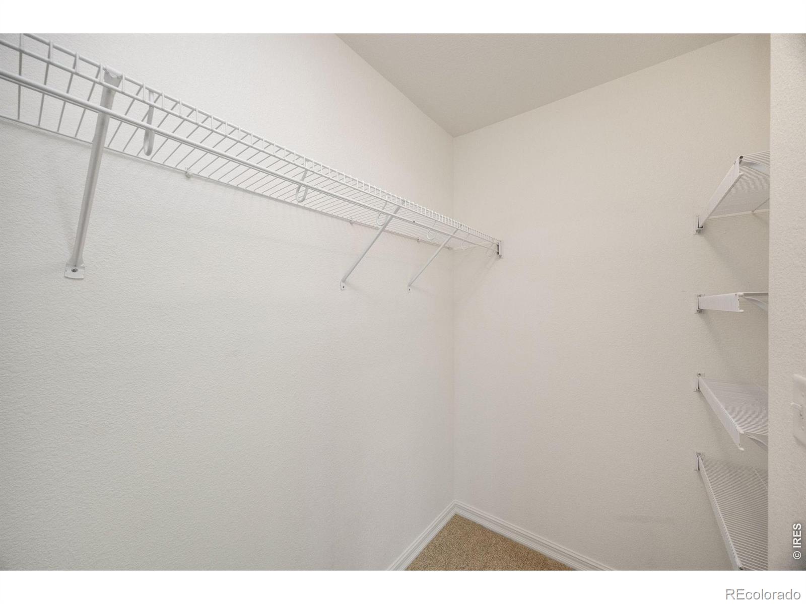 2032 Dove Creek Court Loveland CO 80538