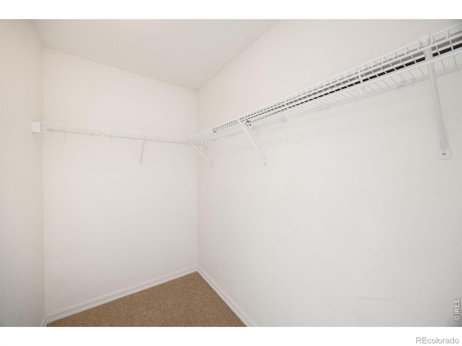 2032 Dove Creek Court Loveland CO 80538