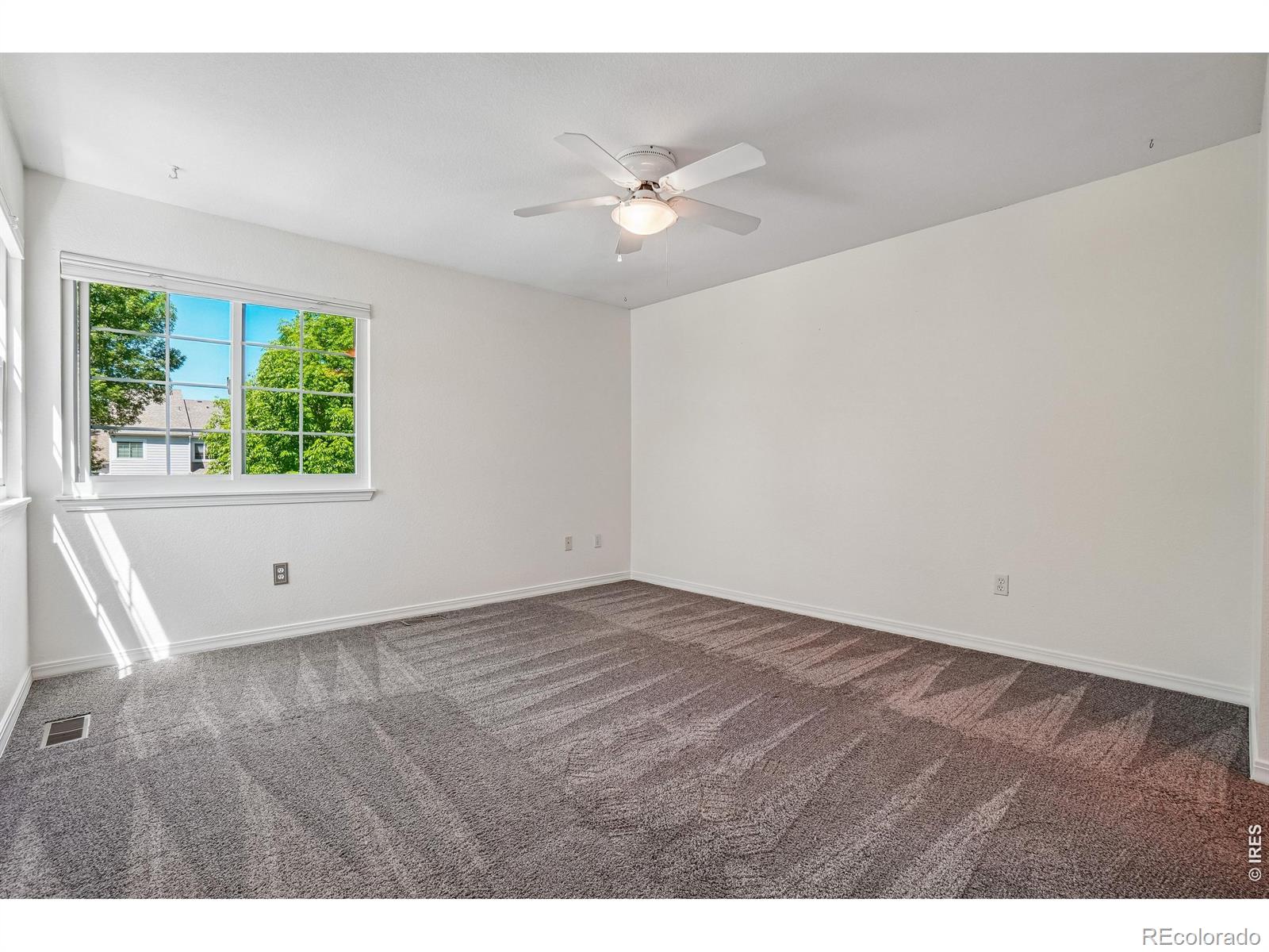 1419 Red Mountain Drive Longmont CO 80504