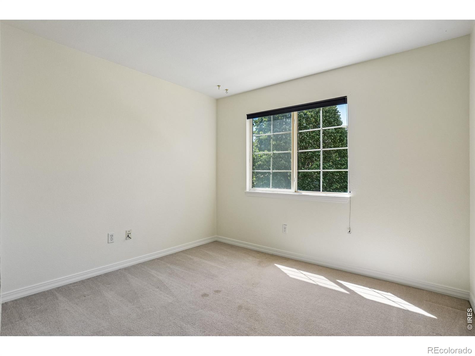 1419 Red Mountain Drive Longmont CO 80504