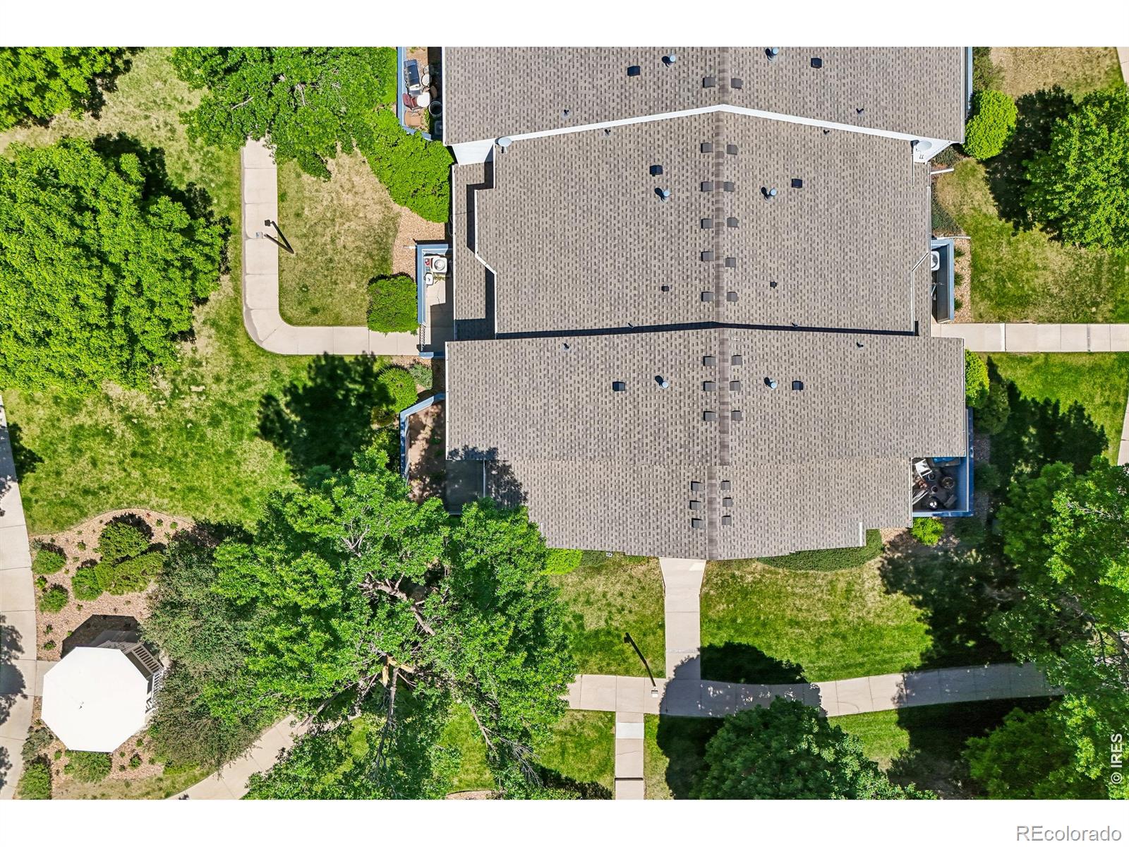 1419 Red Mountain Drive Longmont CO 80504