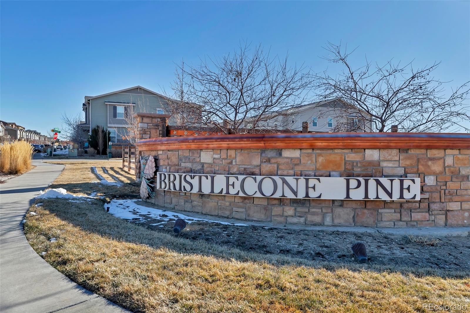 21876 E Radcliff Circle Aurora CO 80015