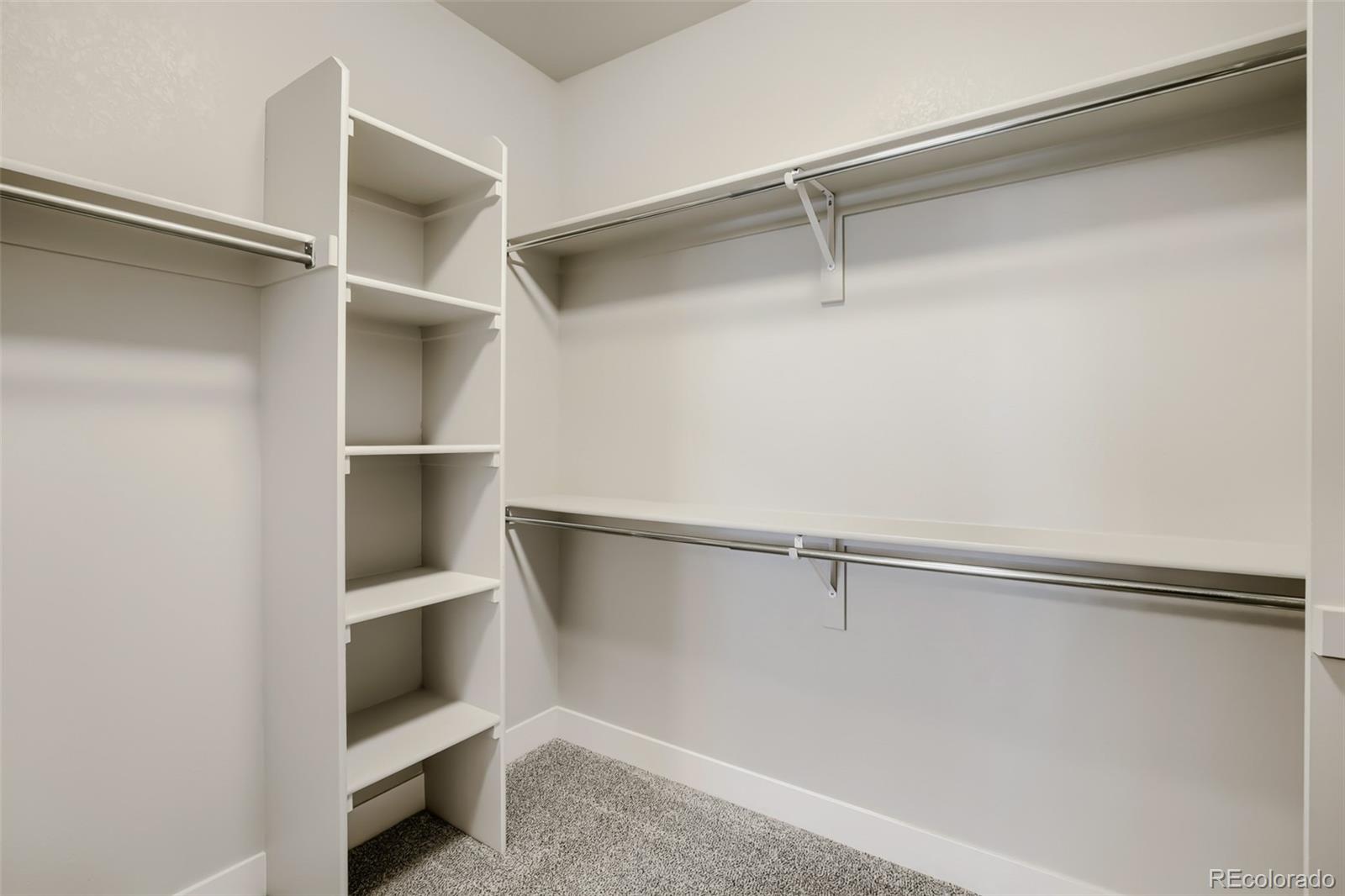 4171 Greenhorn Drive Loveland CO 80538