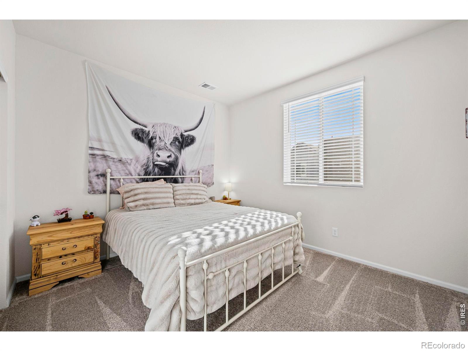 6262 Kinston Parkway Loveland CO 80538