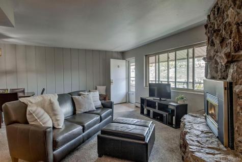 370 E La Bonte Street Dillon CO 80435