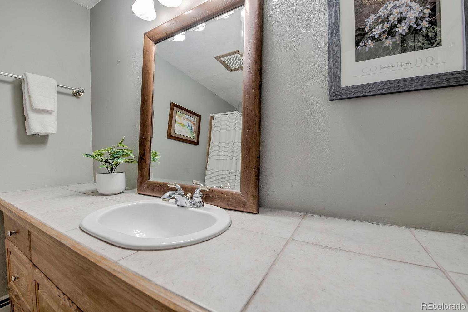 370 E La Bonte Street Dillon CO 80435