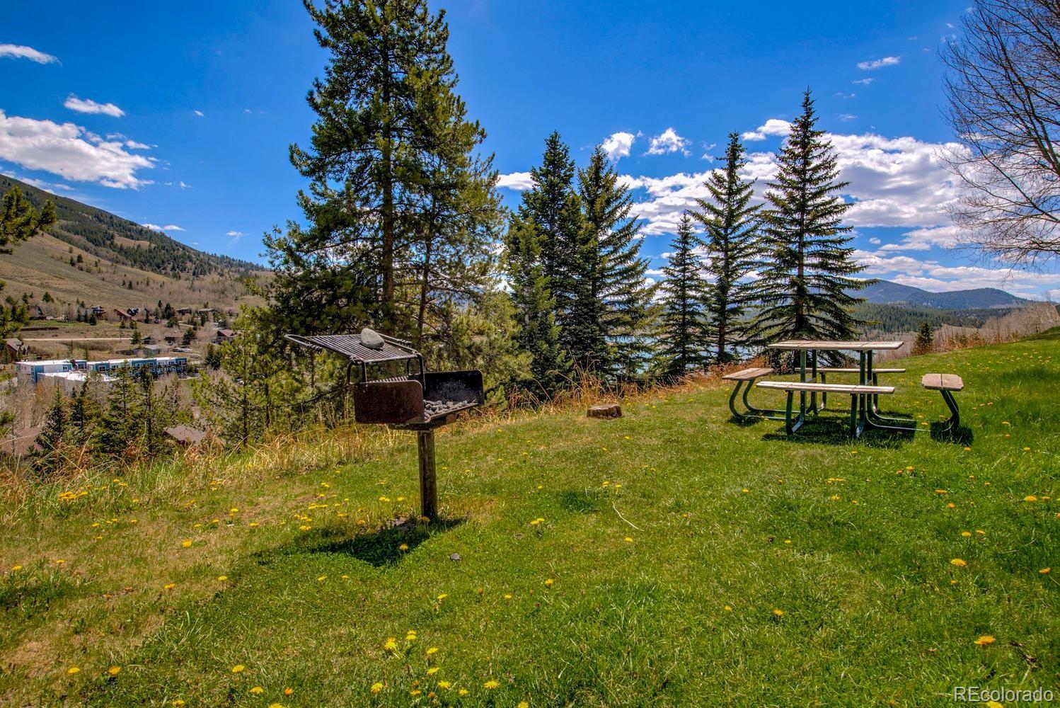370 E La Bonte Street Dillon CO 80435