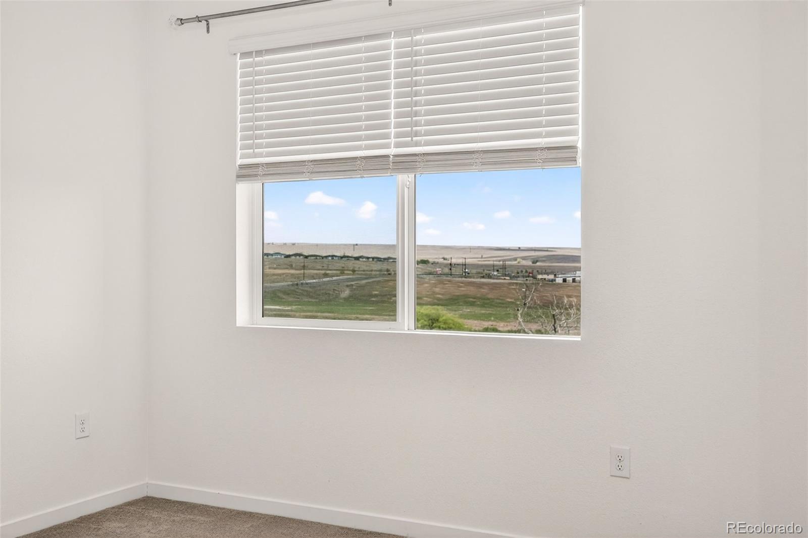 14591 W 91st Lane Arvada CO 80005