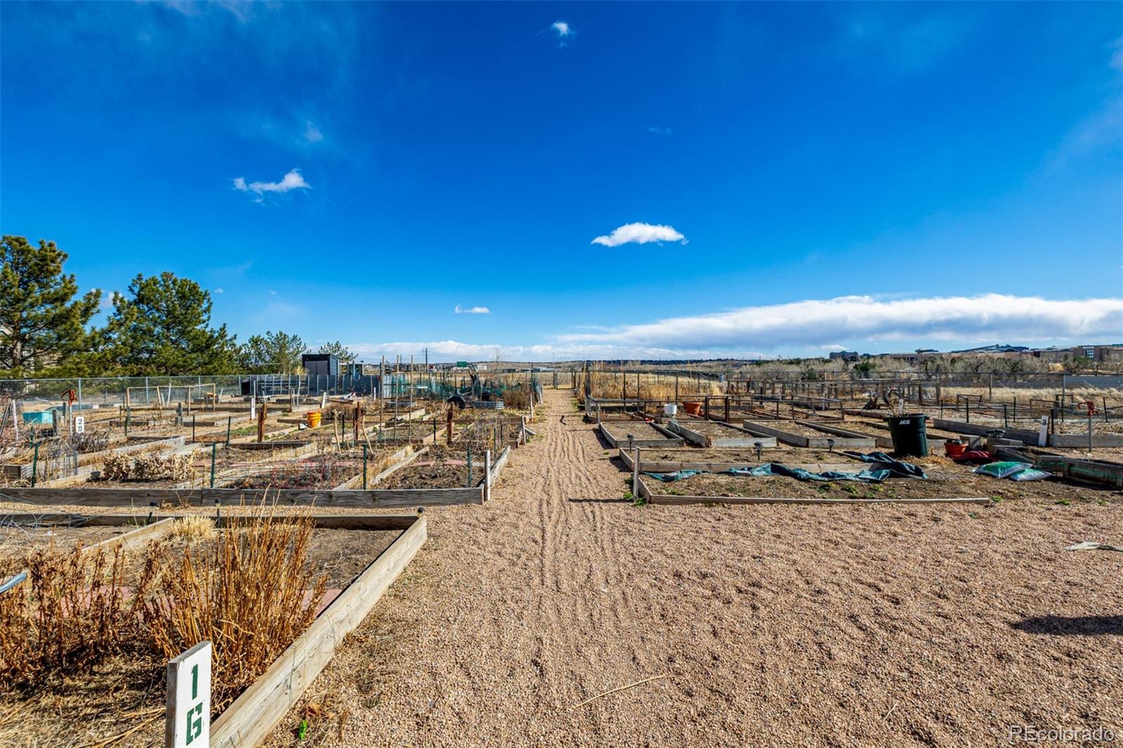 2175 Eagle Avenue Superior CO 80027