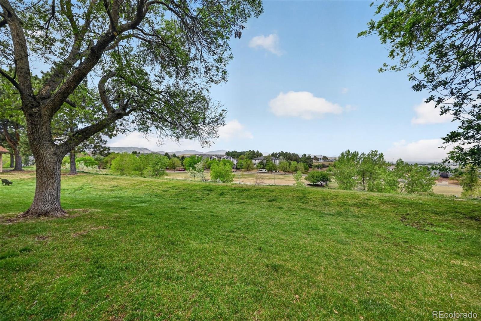420 Zang Street Lakewood CO 80228